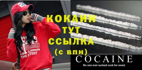 дмт Нягань