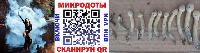 Псилоцибиновые грибы прущие грибы  Осташков 